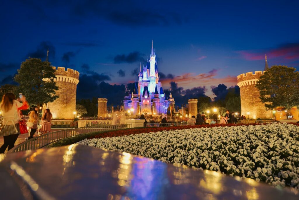 Tokyo Disneyland Cinderella Castle Night